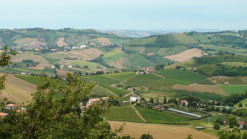 Agriturismo Il Sentiero Montalto delle Marche Exterior foto